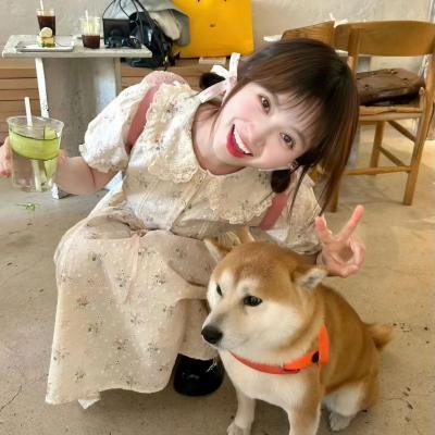 亲爱的爱丽丝